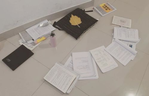 曲阜師范大學 環藝設計 初試總分402,理論150滿分學姐 風暴設計教育