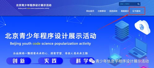 2022年北京青少年程序設計展示活動結果查詢 12.4