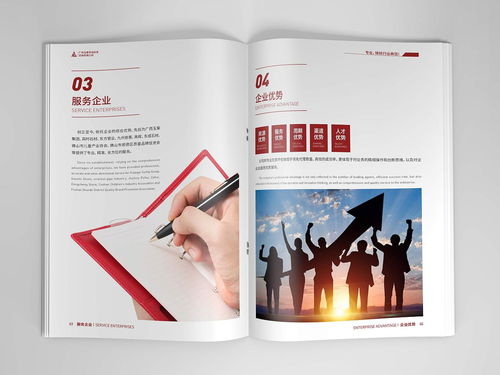 咨詢公司畫冊設(shè)計
