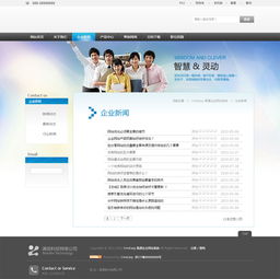 淡藍色咨詢策劃翻譯企業網站模板,公司網站模板