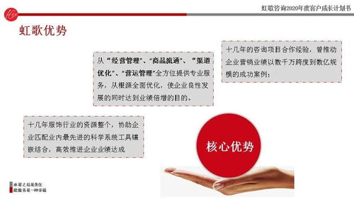 虹歌咨詢2020年度客戶成長(zhǎng)計(jì)劃書(shū)