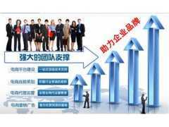 湖南長沙網絡營銷策劃咨詢服務