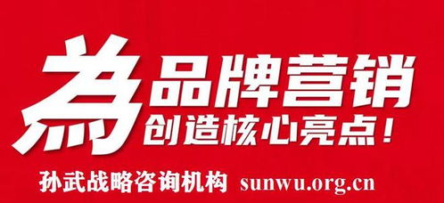 品牌智勝之道 當專業(yè)策劃攜手孫武戰(zhàn)略，以500強定位案例鑄就市場輝煌